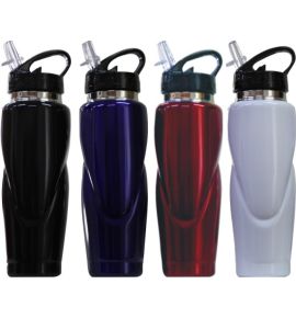 SS Drink Bottle With Straw