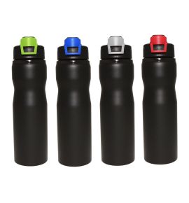SS Drink Bottle with Coloured Lid