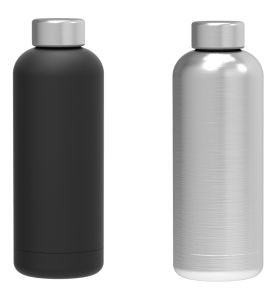 Vacuum SS Thermo Bottle