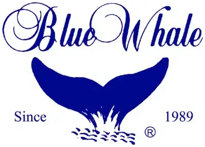 Blue Whale