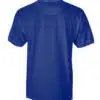0001532_prize-polo-royal_1.jpeg