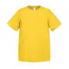 0113758_t-k24-lemon-f.jpeg