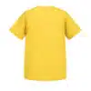 0113759_t-k24-lemon-b.jpeg