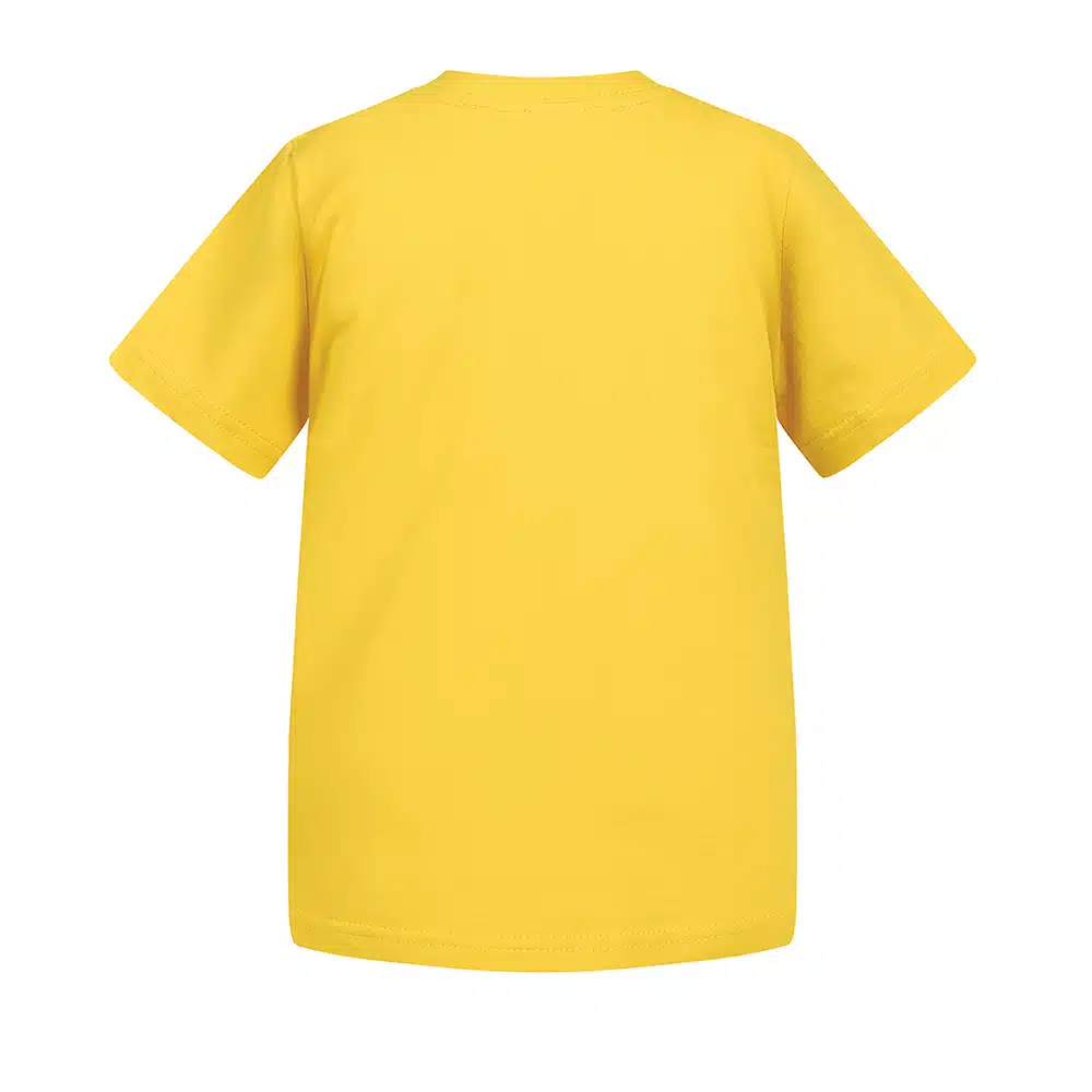 0113759_t-k24-lemon-b.jpeg