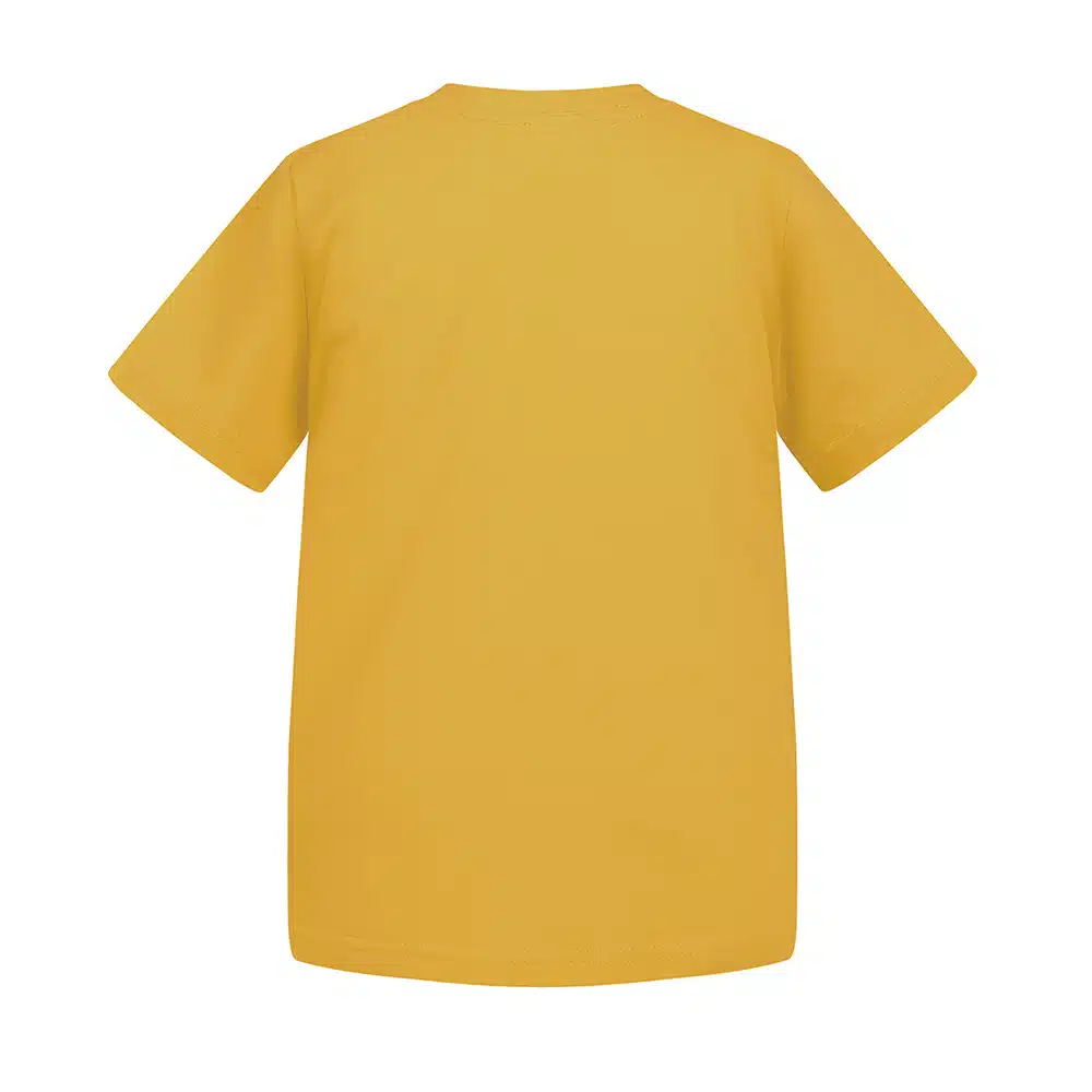 0113772_t-k24-turmeric-b.jpeg