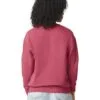 1466_crimson_us24_b1__99099.jpg