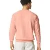 1466_peachy_us24_b1__46502.jpg