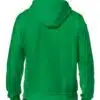 18600_irish_green_02.jpg