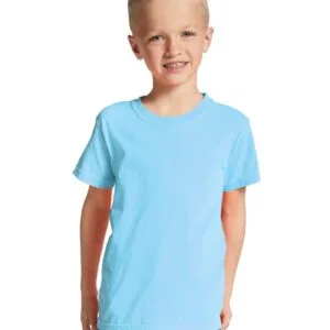 Comfort Colors Heavyweight Youth T-Shirt