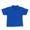 2009-royalblue-front__40367_1.jpg