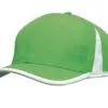 4004_bright_green_white.jpg
