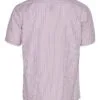 7231-violetwhiteback.jpg