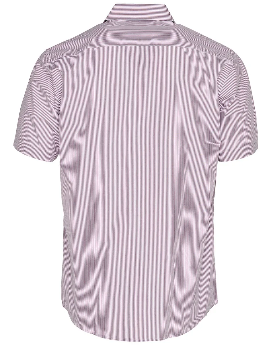 7231-violetwhiteback.jpg