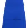 ap401s_royal_blue.jpg