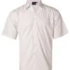 bs01s-white.jpg