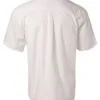 bs01s-whiteback.jpg