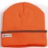 ch23_fluoroorange_l.jpg