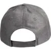 ch33_grey_back.jpg