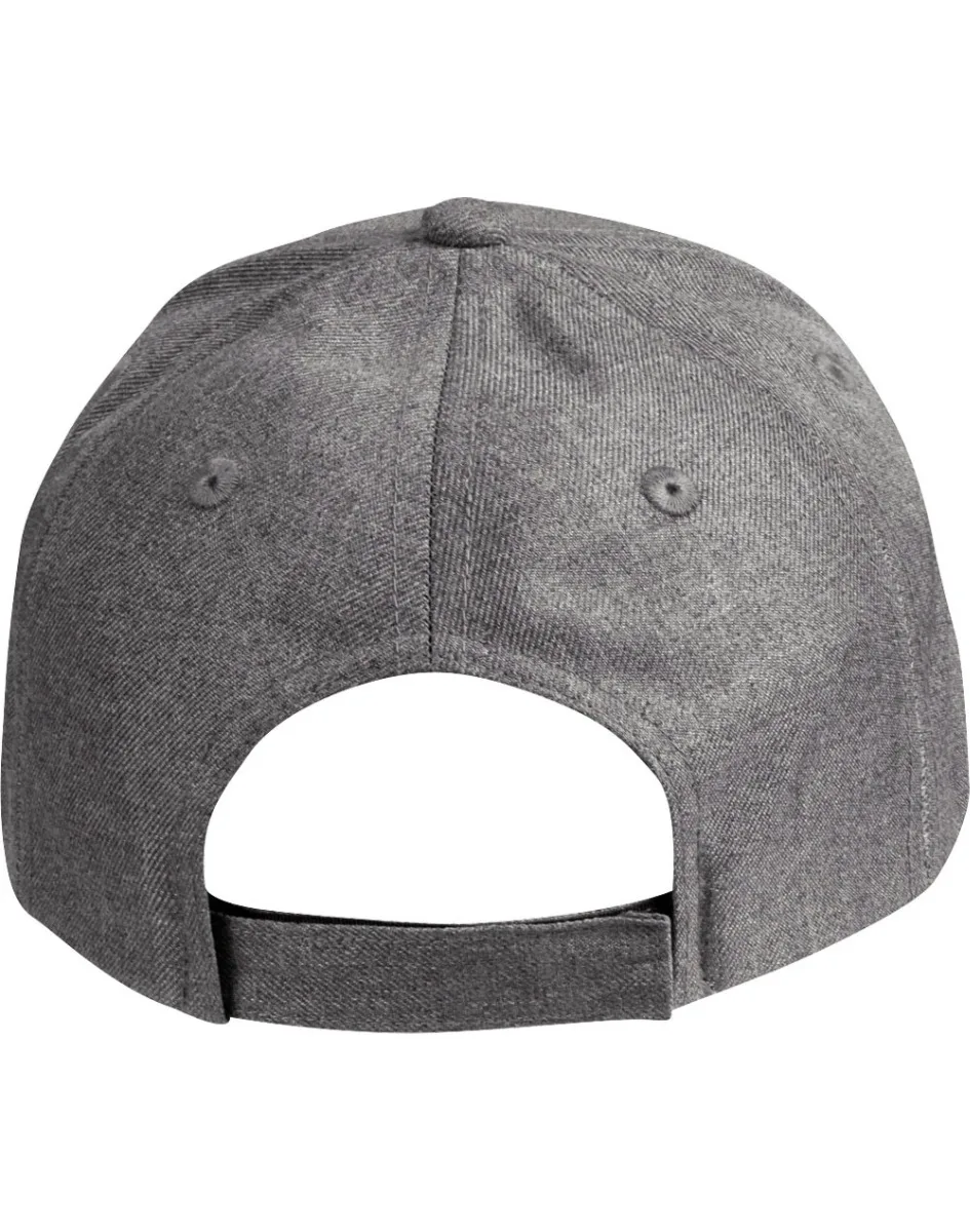 ch33_grey_back.jpg