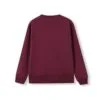 f373ks_maroon_back.jpg