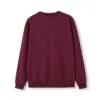f373vn_maroon_back_3.jpg