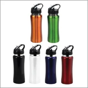 Stainless Steel Drink Bottle With Drinking Straw