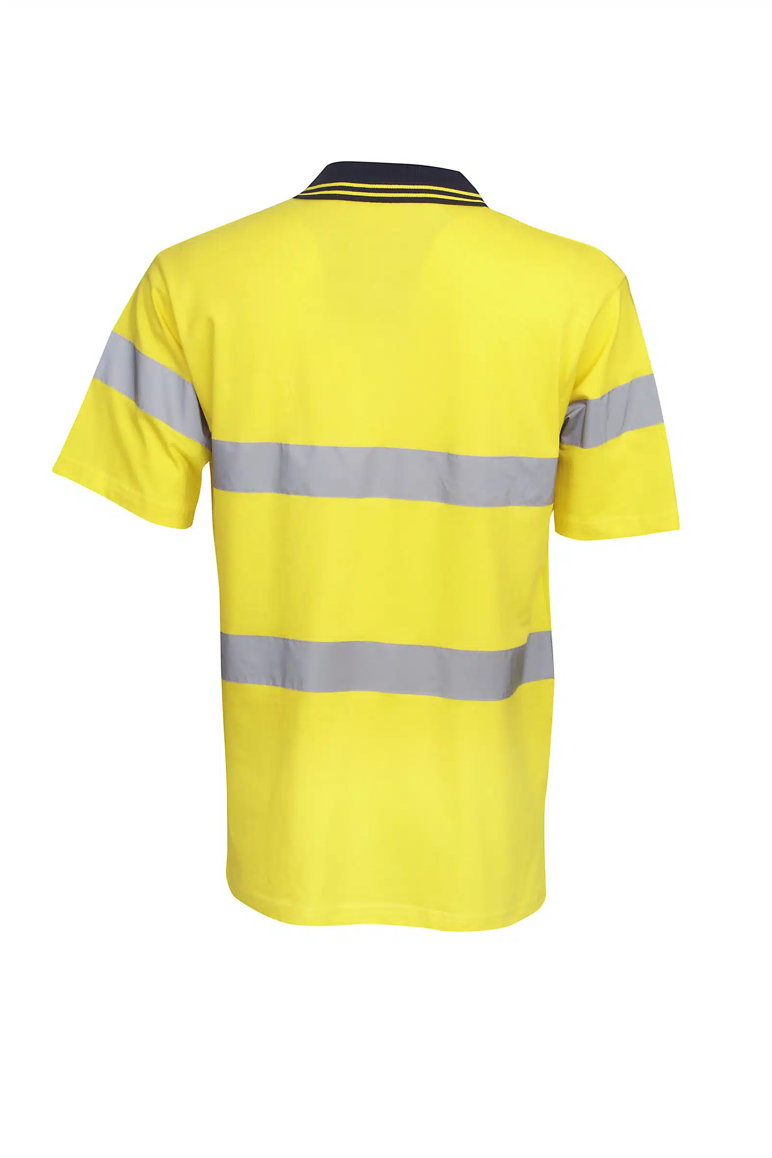p96_fluoro_yellow_navy_blue.cr2.jpg