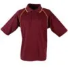 ps20_maroongold_big.jpg
