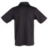 ps33_black_back.jpg