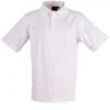 ps33_white_big.jpg