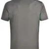 ps79_ashteal_back.jpg