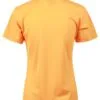 ps82_gold_back.jpg