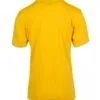 t201hd_yellow_back.jpg