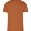 t802hb_chestnut_back.jpg