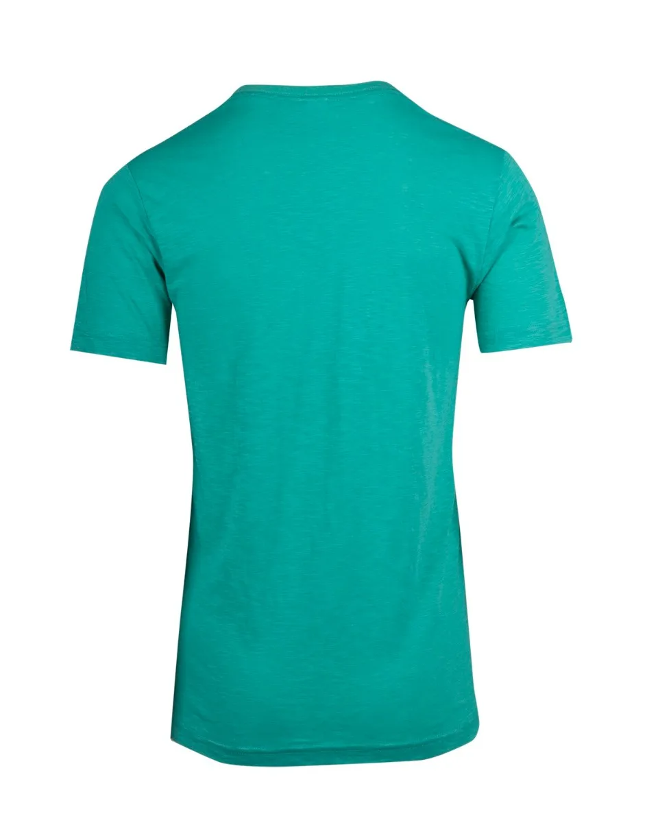 t918tv_fruitgreen_back.jpg