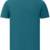 ts43_atlantic_back.jpg