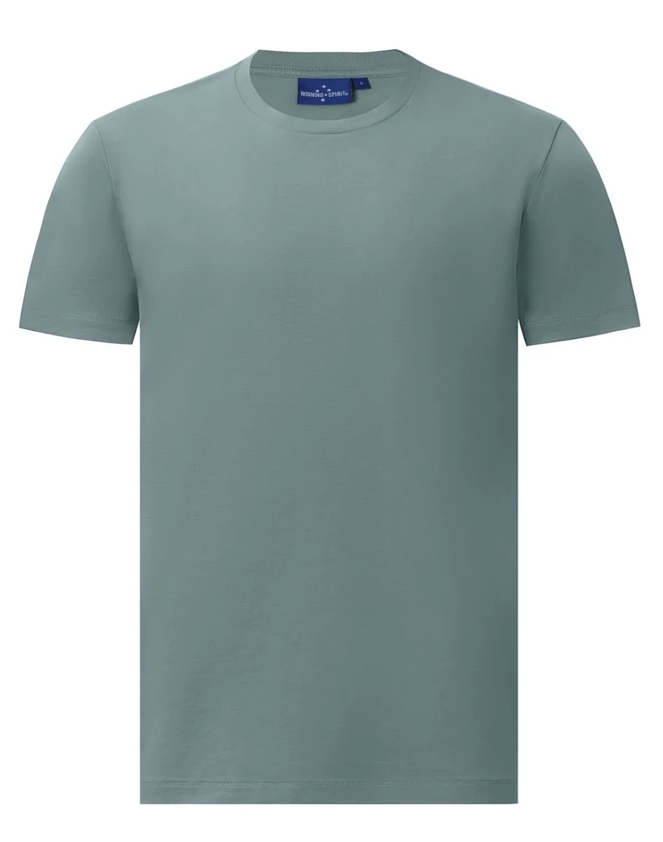 ts43_pastelblue_l.jpg