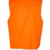 v001ho_orange_back.jpg