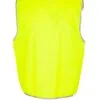 v001ho_yellow_back.jpg